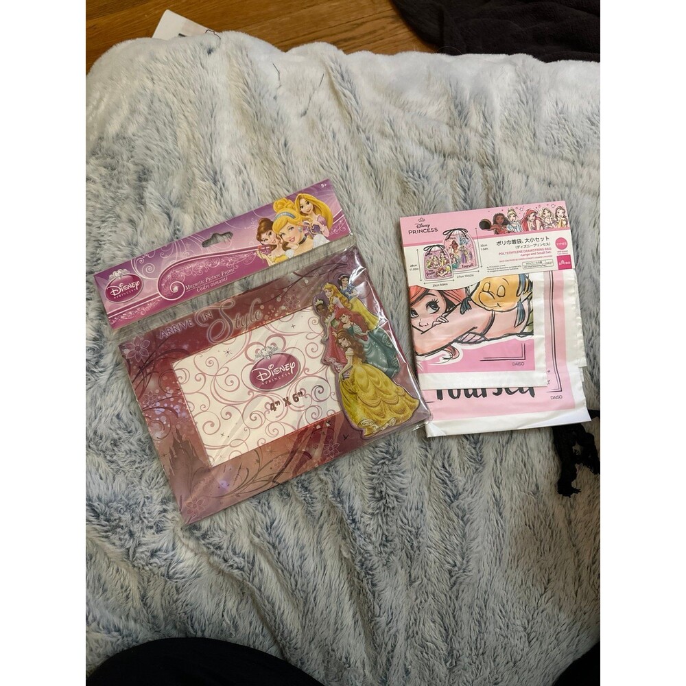 Disney Daiso Plastic Princess Bag + Photo Frame  Set